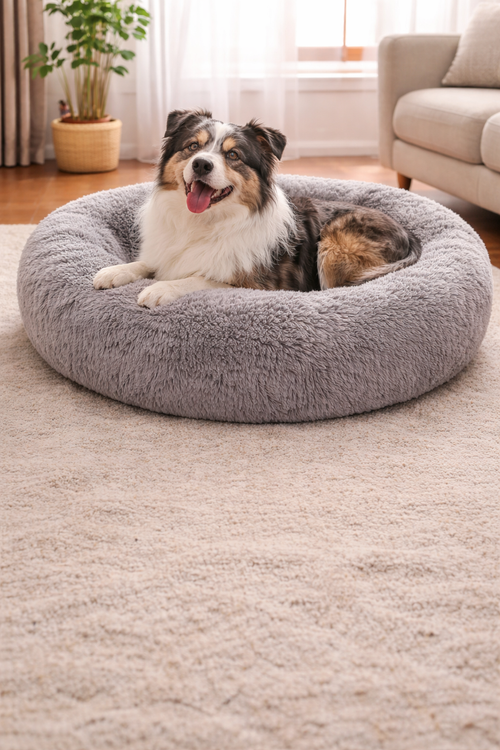 Prémium Puha Kutyafekhely – Nyugodt alvás minden nap